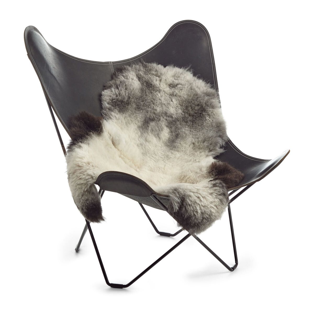 Lammeskind | Korthåret | Island | 90-100x60 cm