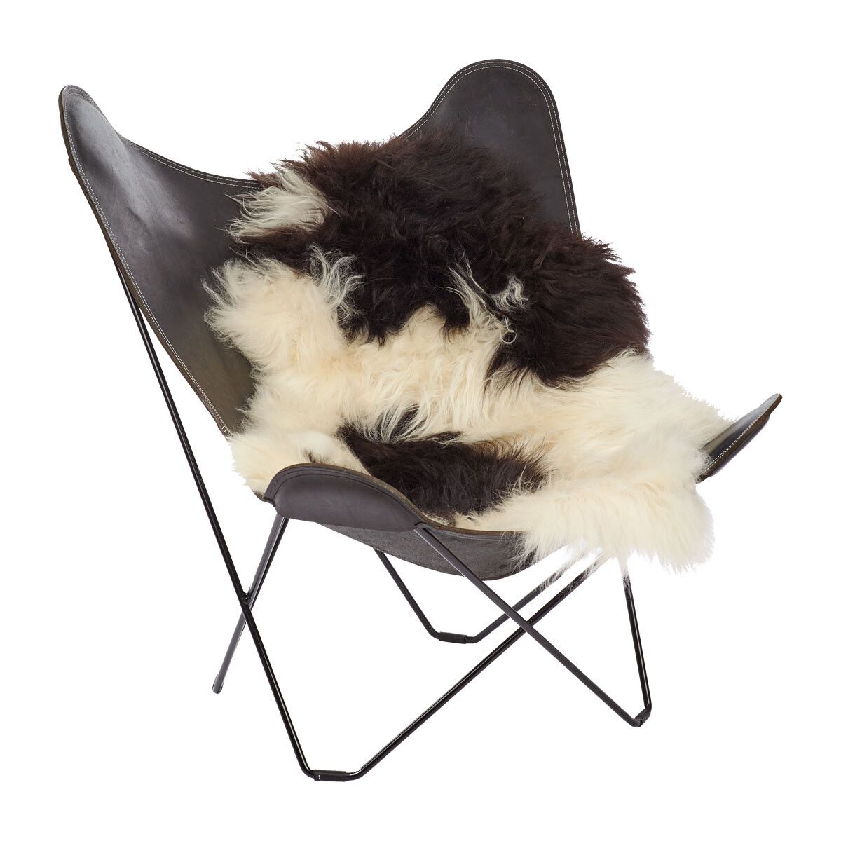 Lammeskind | Langhåret | Island | 100-120x60 cm Plettet