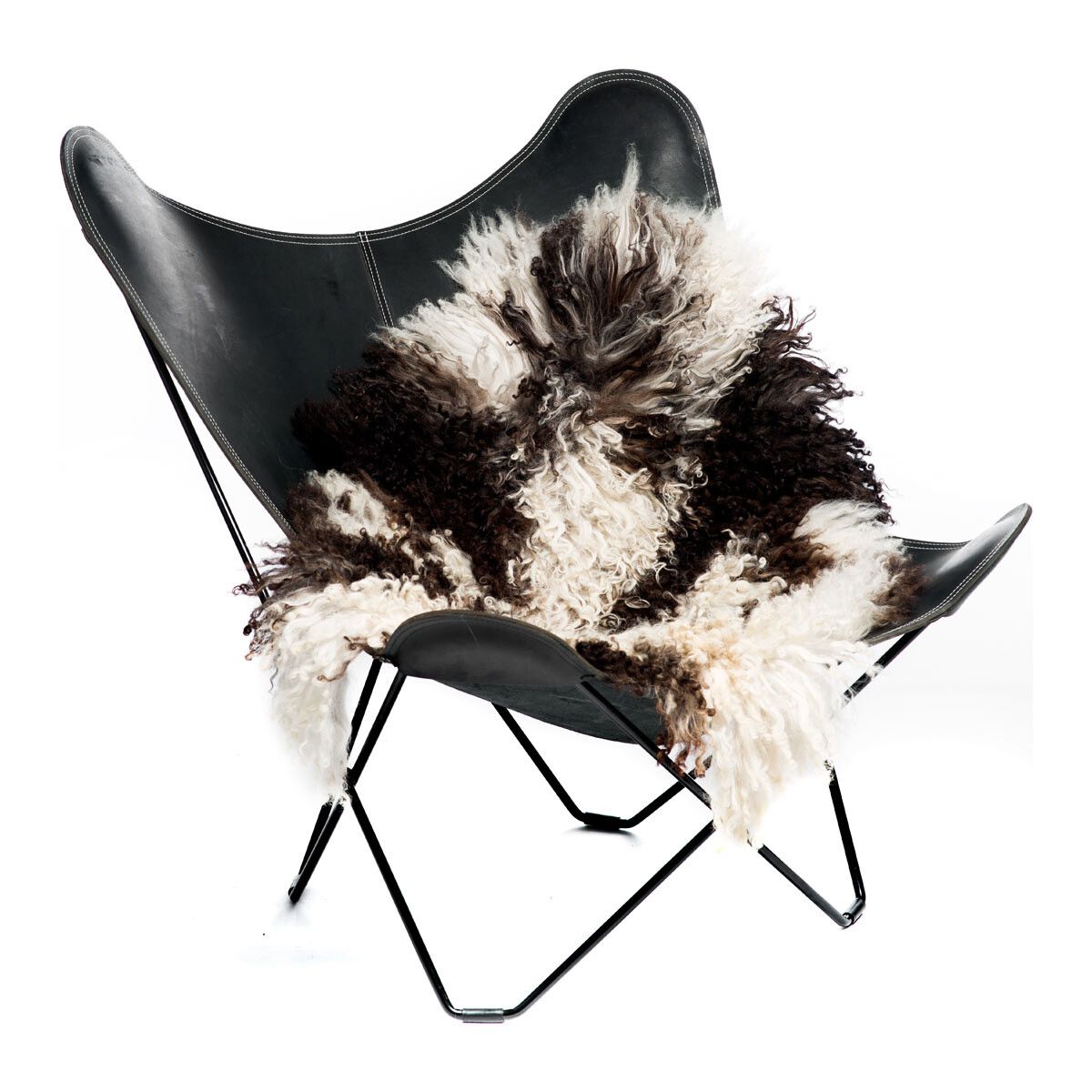 Lammeskind | Krøllet | Østrig | 90x60 cm