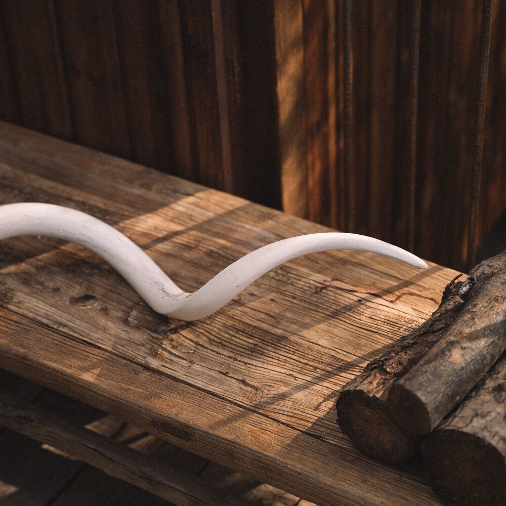 Kuduhorn | Sydafrika