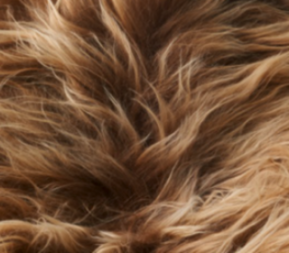 Bænk med Islandsk Lammeskind | Egetræ Rustbrun