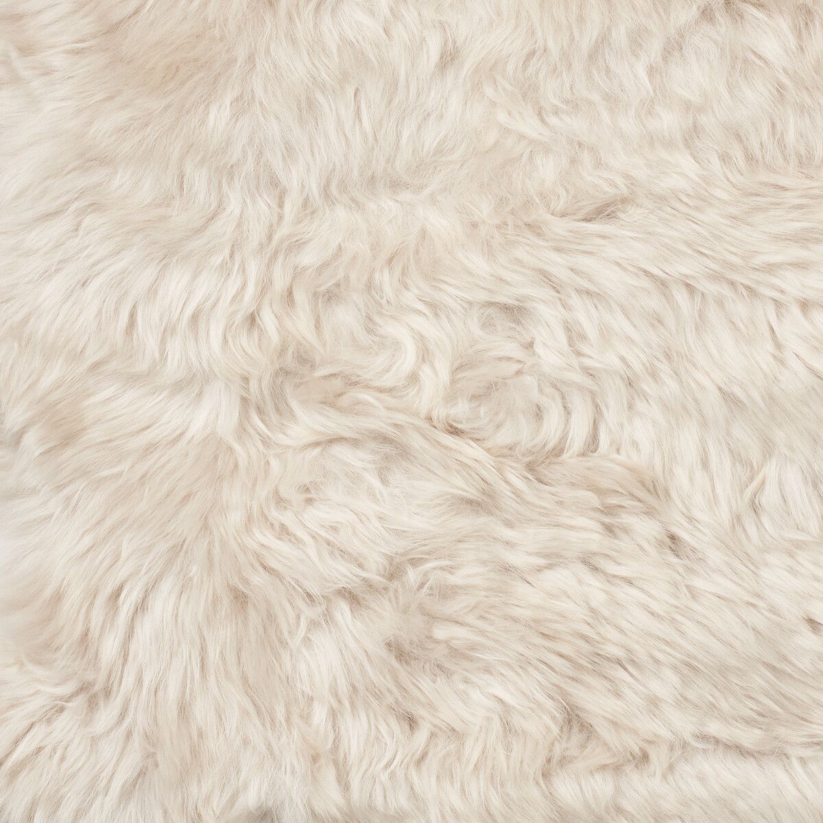 Lina Loungestol | Lammeskind | New Zealand | Langhåret Beige