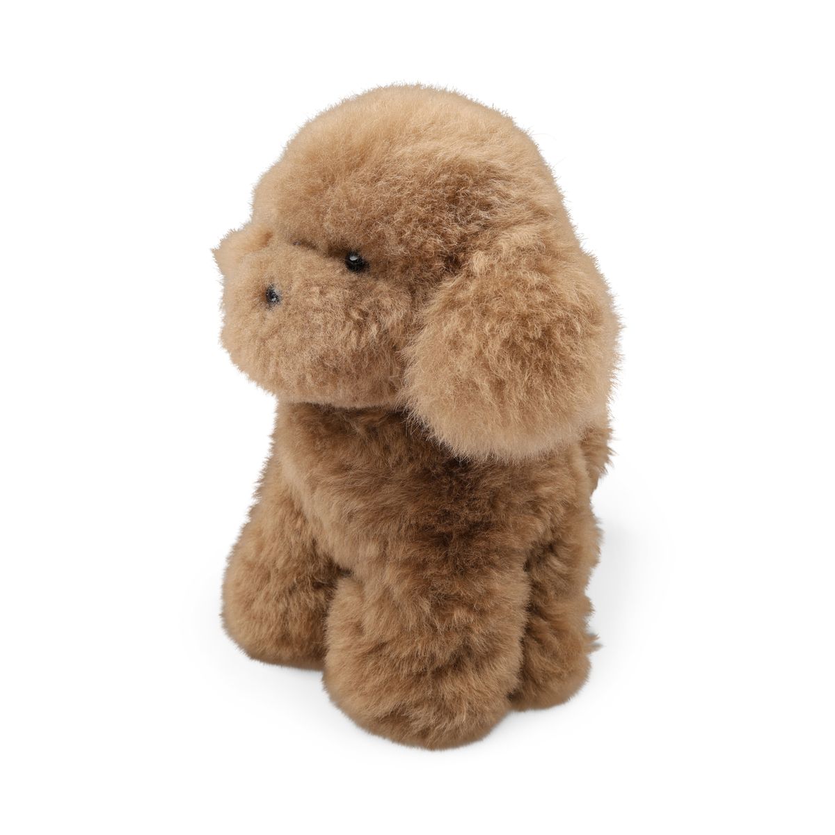 Teddybear Hvalp | Islandsk Lammeskind Brun