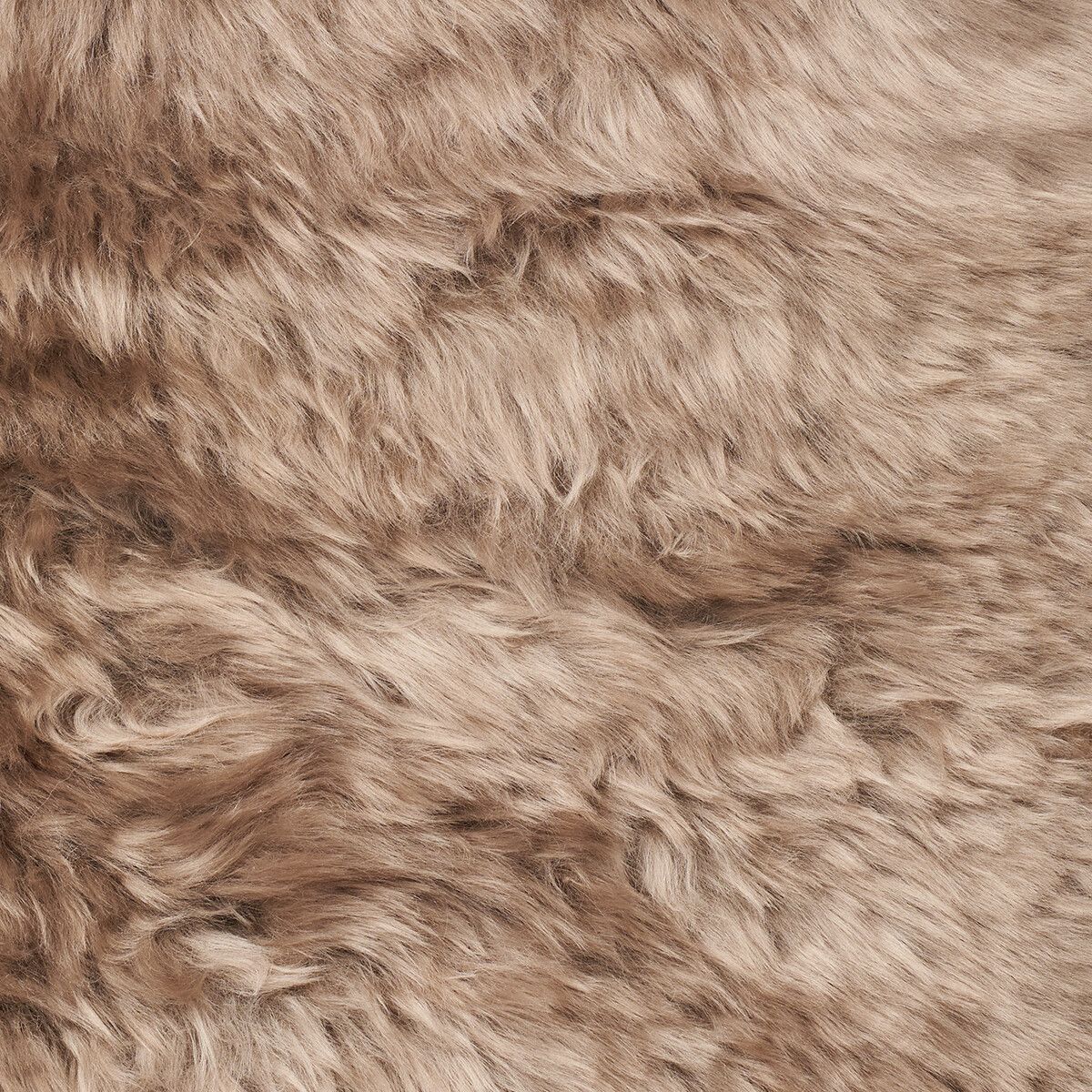 Lina Loungestol | Lammeskind | New Zealand | Langhåret Taupe