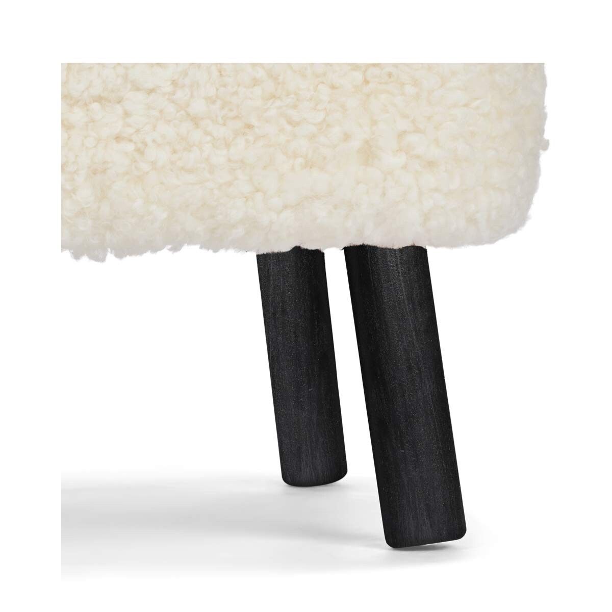 Emily Skammel | Korthåret Hvid