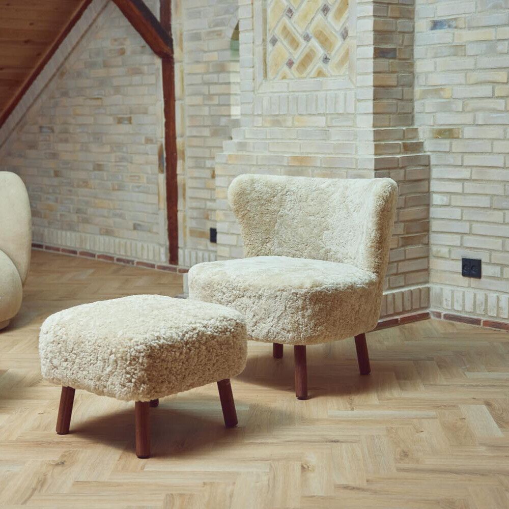 Emily Skammel | Korthåret Koksgrå