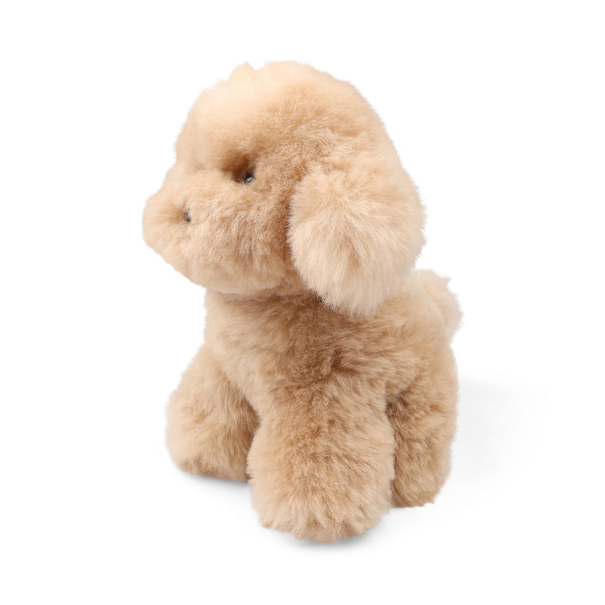 Teddybear Hvalp | Islandsk Lammeskind Beige