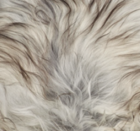 Bænk med Islandsk Lammeskind | Egetræ Naturgrå