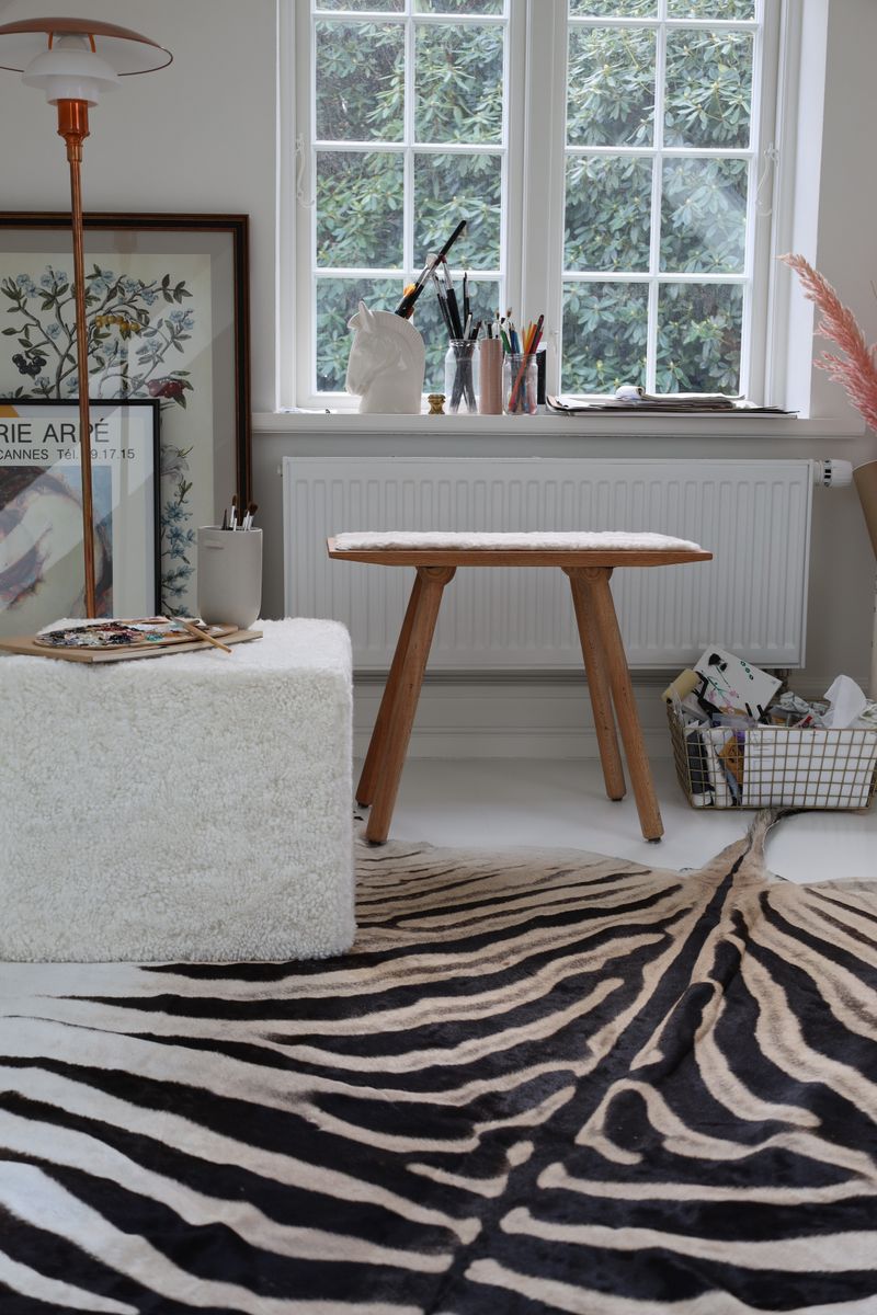 Zebraskind | Sydafrika  Zebra