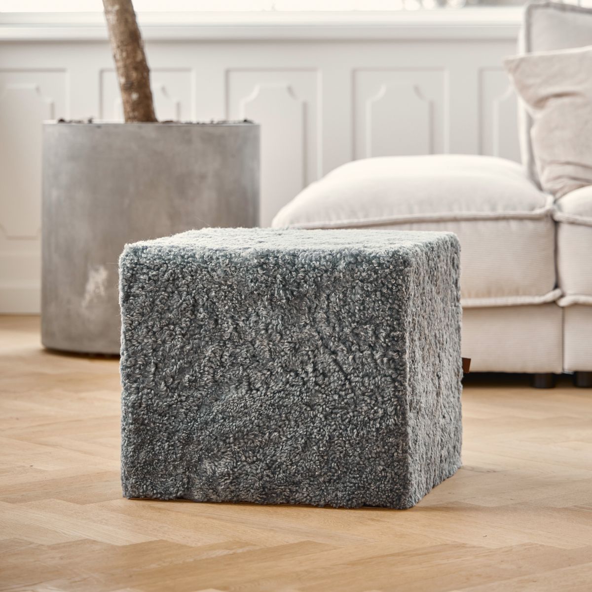 Puf | Korthåret | New Zealand Koksgrå