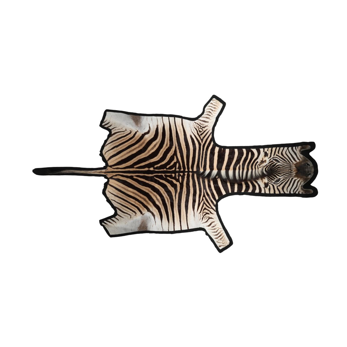 Zebraskind | Premium kvalitet | Sydafrika | Filtbagside