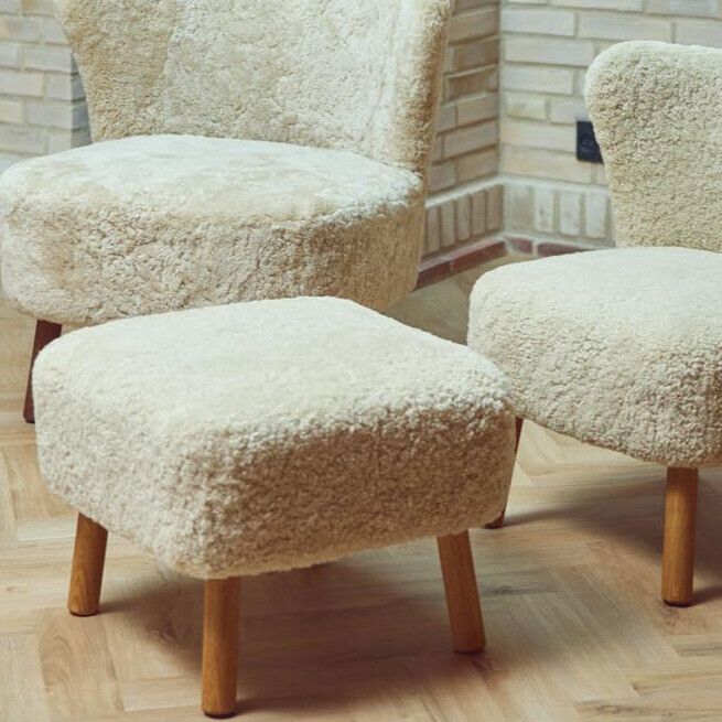 Emily Skammel | Korthåret Koksgrå